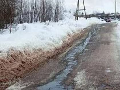 Сброс стоков со слизью и кровью с территории АО «Агротек» зафиксировали на Камчатке