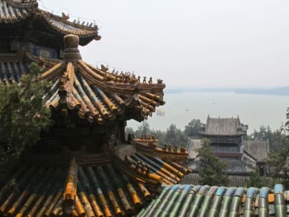 Камчатские компаний могут лишиться прав на поставки рыбы в Китай