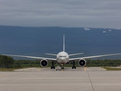 Годовой пассажиропоток аэропорта Елизово впервые превысил 900 тыс. человек