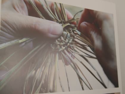 В КамГУ им. Витуса Беринга открылась выставка, посвящённая языкам коренных народов Камчатки