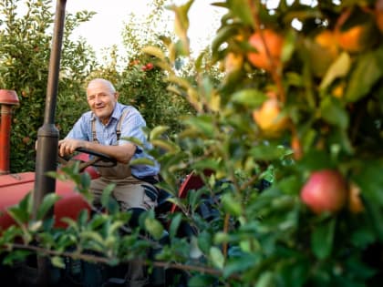 В Софреде одобрили прибавки к пенсии за сельский стаж