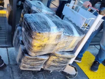 На Камчатке «икорный дилер» пытался сорвать работу инспекторов Россельхознадзора в аэропорту