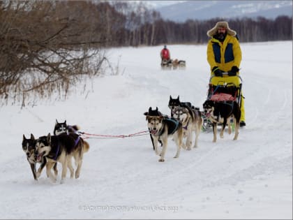 Более 300 километров составит протяженность гонки «Берингия. Авачa» на Камчатке