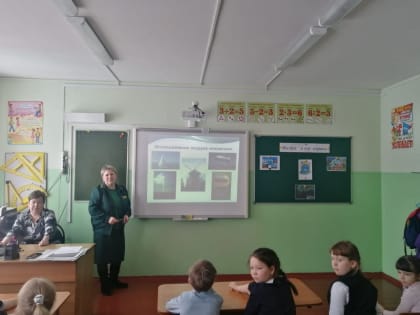 Открытые уроки по популяризации лесных профессий проходят в школах Камчатки