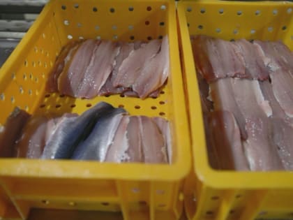 «Камчаттралфлот»: наша продукция востребована как в стране, так и за её пределами