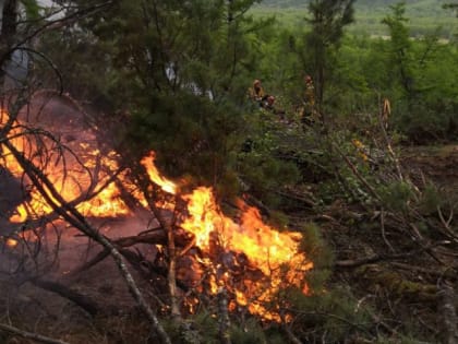 Особый противопожарный режим введён еще в одном селе Камчатки