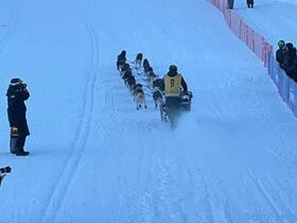 На Камчатке стартовала гонка на собачьих упряжках «Берингия – 2023»