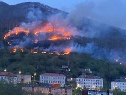 Крупный пожар на сопке в Петропавловске произошел по вине поджигателей