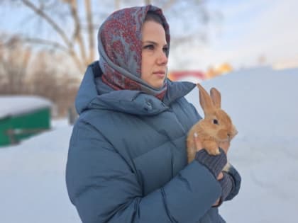 Кролик – это новый кот