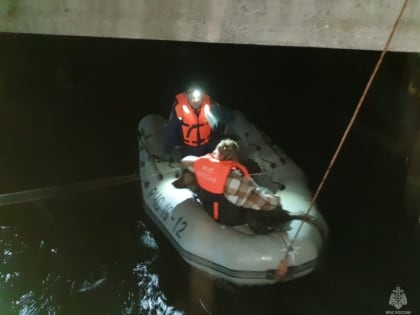 На Камчатке спасатели МЧС России пришли на помощь собаке