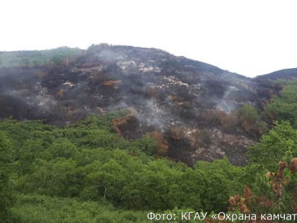 В правительстве Камчатки подвели итоги пожароопасного периода