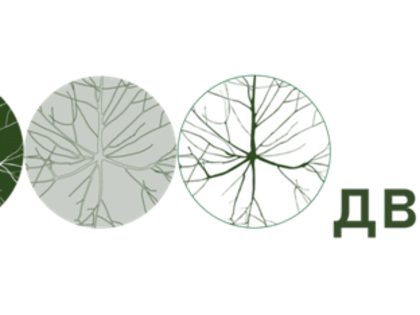 Утвержден итоговый перечень дворовых территорий