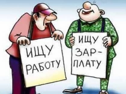 За год средние зарплатные предложения на Камчатке выросли на 12%