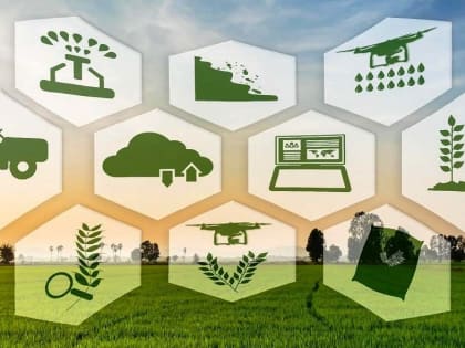 Жители Камчатки могут получить льготный кредит на ведение личного подсобного хозяйства