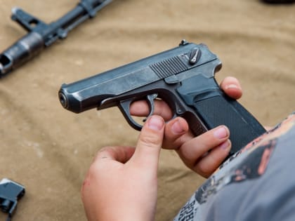 В Брянской области школьница устроила стрельбу - есть погибшие