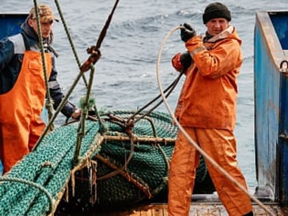 Камчатский рыбохозяйственный совет обсудит итоги лососевой путины