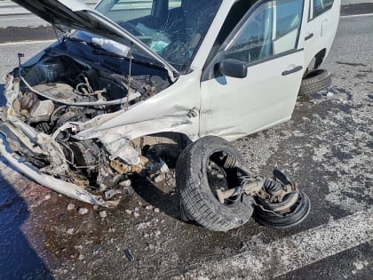 На Камчатке водитель иномарки протаранил металлическое ограждение