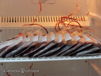 Мифы о донорстве развеяли камчатские медики