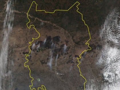 Как охраняют леса «омские чудотворцы»