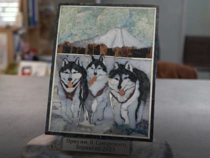 Приз Самарского снова вручат на экваторе камчатской традиционной гонки на собачьих упряжках «Берингия»