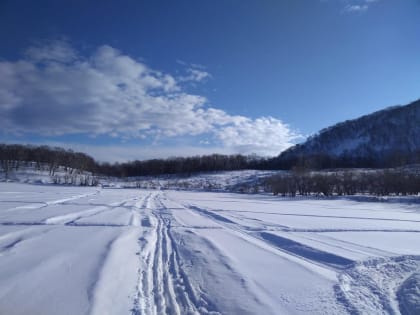 Жителей города подводников на Камчатке приглашают на лыжные прогулки