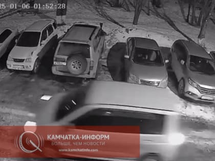 В Петропавловске-Камчатском ищут свидетелей обстрела внедорожника