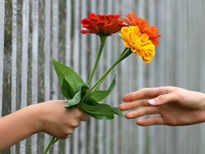 Индекс букета к 1 сентября вырос за год в полтора раза