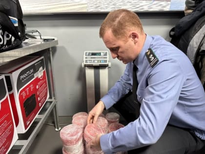 Авиапассажиры предпочитают вывозить с Камчатки икру кустарного производства