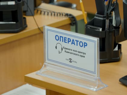 Новый консультационный сервис по вопросам трудового законодательства заработал на Камчатке