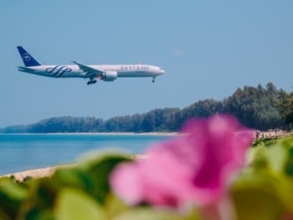 Скидки до 50%: куда выгоднее лететь в феврале и сколько будет стоить отдых