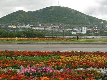Декоративные растения на клумбах и в вазонах украсят Петропавловск этим летом