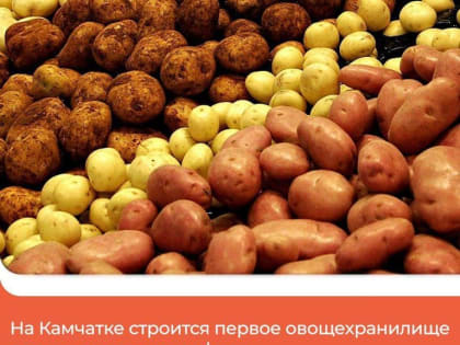 Судья Войницкий Д.И. вошёл в состав президиума Камчатского краевого суда