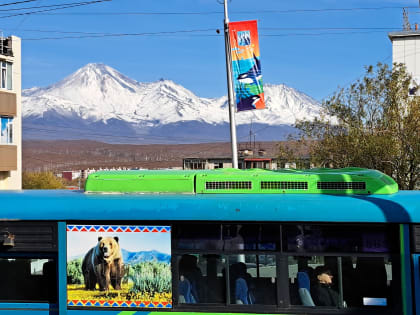 Государственная социальная помощь в Камчатском крае