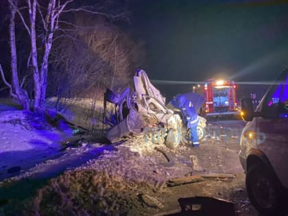 В столице Камчатки произошло смертельное ДТП