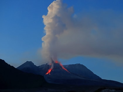 Камчатский вулкан Шивелуч выбросил пепел на высоту до 3 км