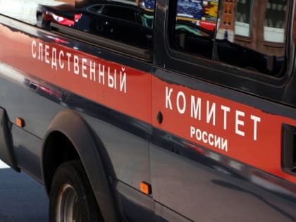 Камчатские следователи не нашли криминала в смерти женщины в подвале жилого дома