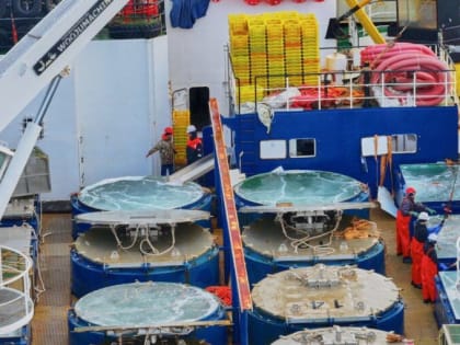 Суда с живым камчатским крабом преодолели Северный морской путь