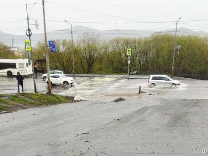«Дайте кошке слово»