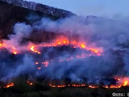«Сопка полыхает»: в соцсетях постят видео пожара в южной части Петропавловска