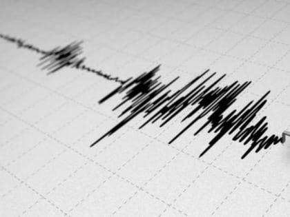 Землетрясение магнитудой 4,4 произошло у берегов Камчатки
