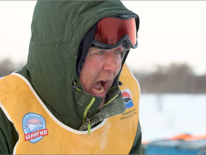 Каюры преодолели первые четыре этапа камчатской традиционной гонки на собачьих упряжках «Берингия - 2023»