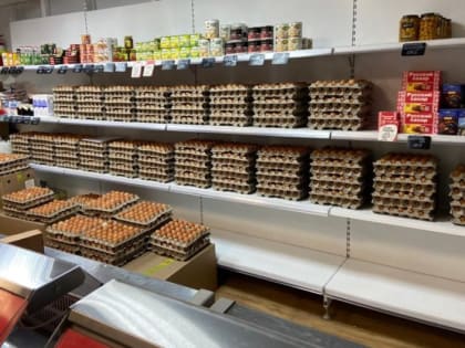 Мониторинг цен на куриные яйца в Камчатском крае
