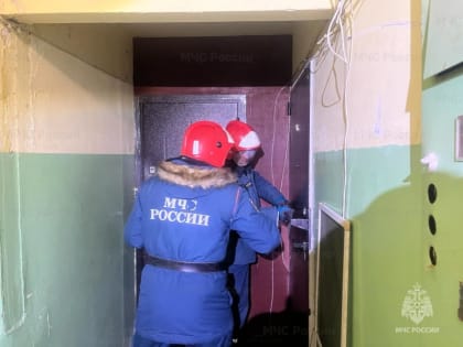 На Камчатке спасатели подоспели на выручку упавшей в ванне пенсионерке