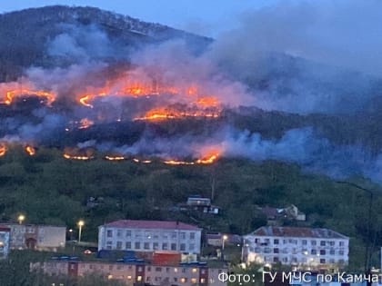 МЧС: наиболее вероятная причина пожара в южной части Петропавловска – поджог