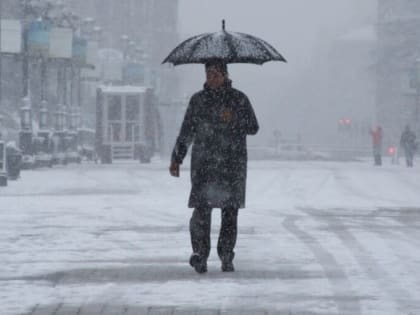 Камчатка во власти очередного снежного циклона