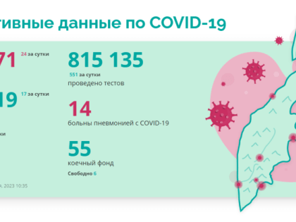 На Камчатке выявили еще 24 случая коронавируса