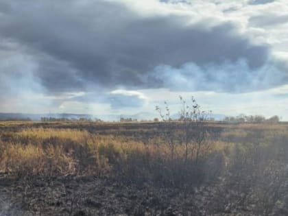 В селе на севере Камчатки возросла вероятность природных пожаров