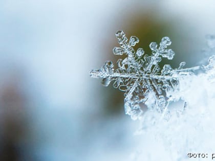 Синоптики: в конце февраля на севере Камчатки температура опускалась до -40°С