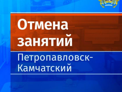 В столице Камчатки отменены занятия в школах