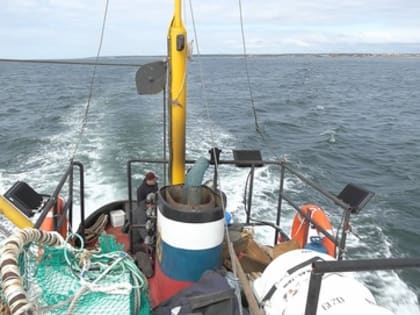 Камчатские рыбаки завершили сезон «А» Охотоморской минтаевой путины